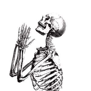 Meet your Posher, Calvin